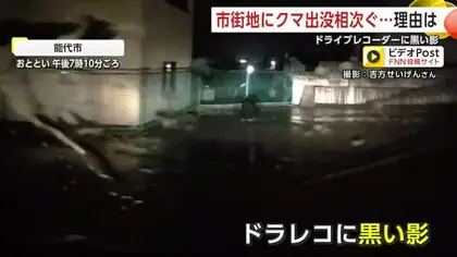 ドラレコが捉えた“黒い影”はクマ　市街地への出没相次ぐ　餌を探して迷い込んだ可能性も　秋田