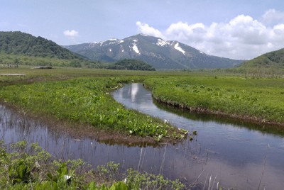 尾瀬で「入域料」徴収、群馬県知事が意欲　入山者減に拍車の懸念も