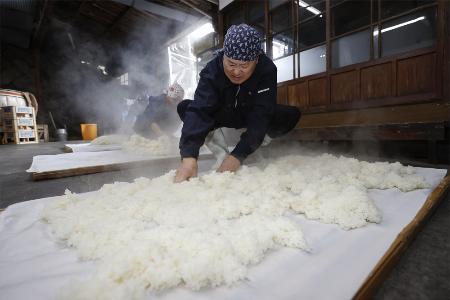 「伝統的酒造り」無形遺産登録　ユネスコ決定、日本酒や焼酎