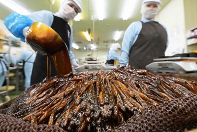 正月の縁起物「ハゼの甘露煮作り」最盛期　長寿願いお節料理に　愛知