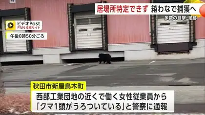 秋田市新屋の工業団地で「クマうろついている」と通報　居場所特定できず箱わな設置して警戒