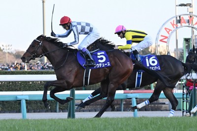 混戦模様の有馬記念　ロマン馬券で「ふてほど」脱出だ